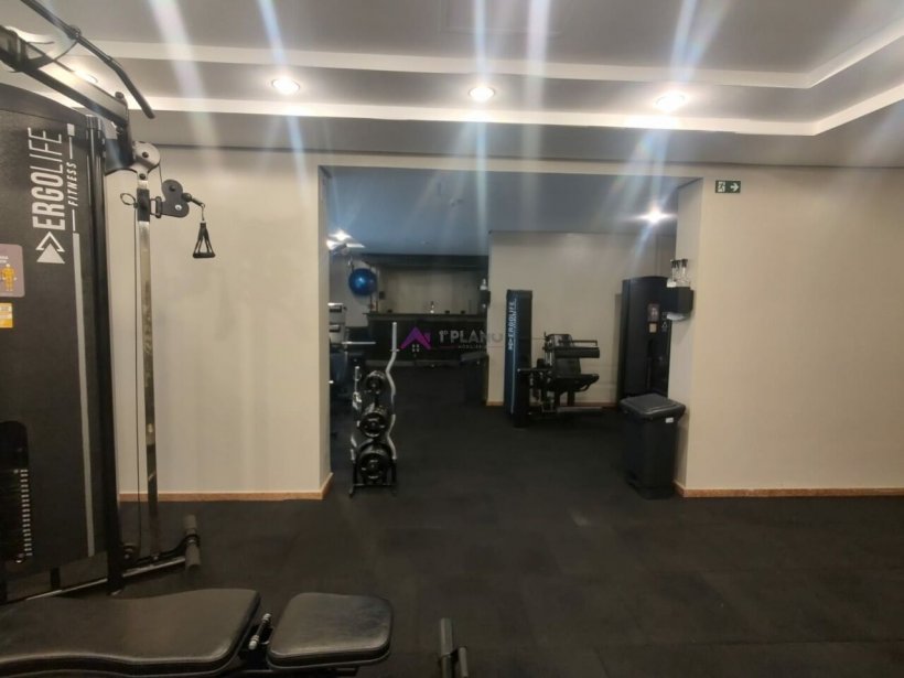 PP1551038.jpg
