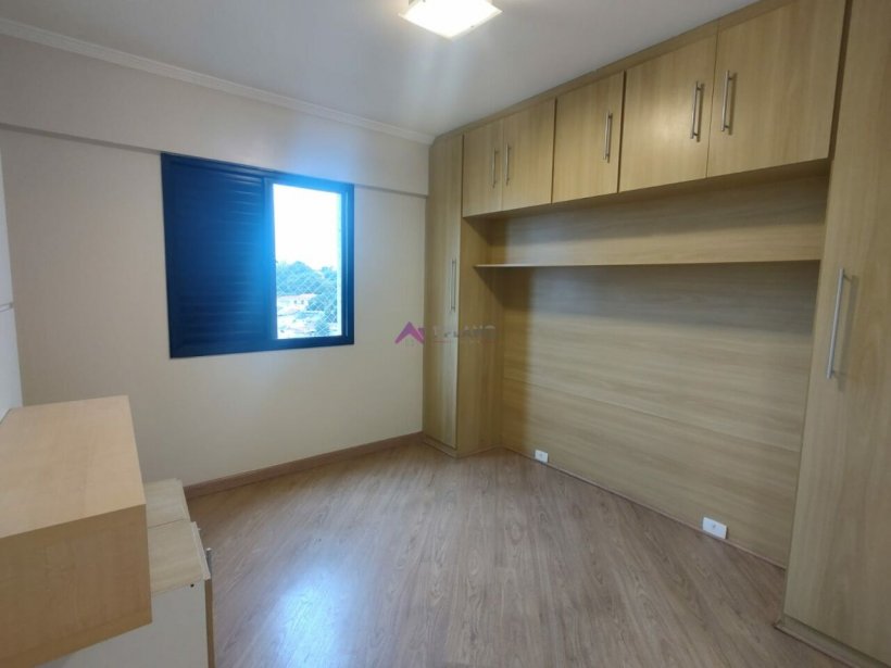 PP608037.jpg