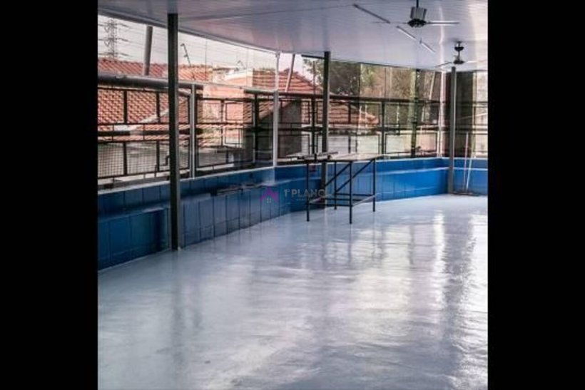 PP1647015.jpg