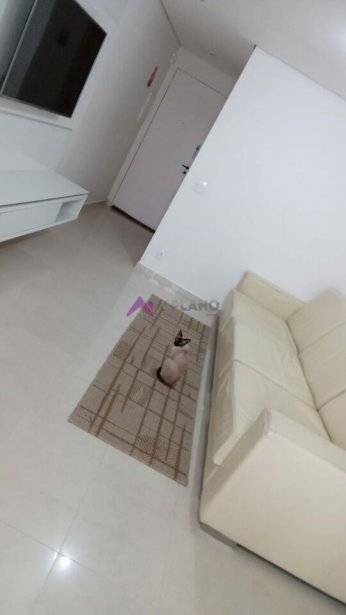PP473015.jpg