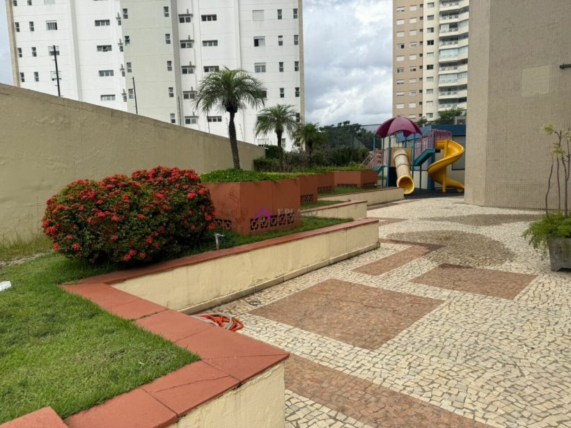 PP1393029.jpg