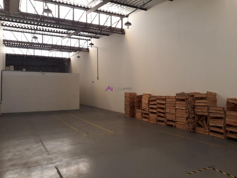 PP1670019.jpg