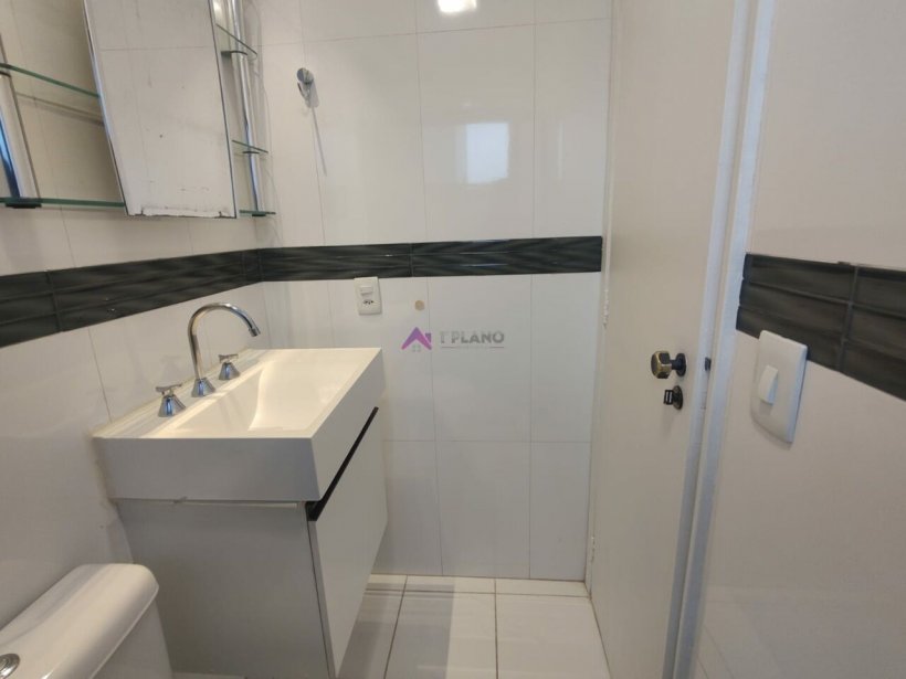 PP608038.jpg