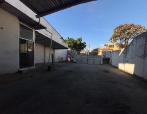 PP1727009.jpg