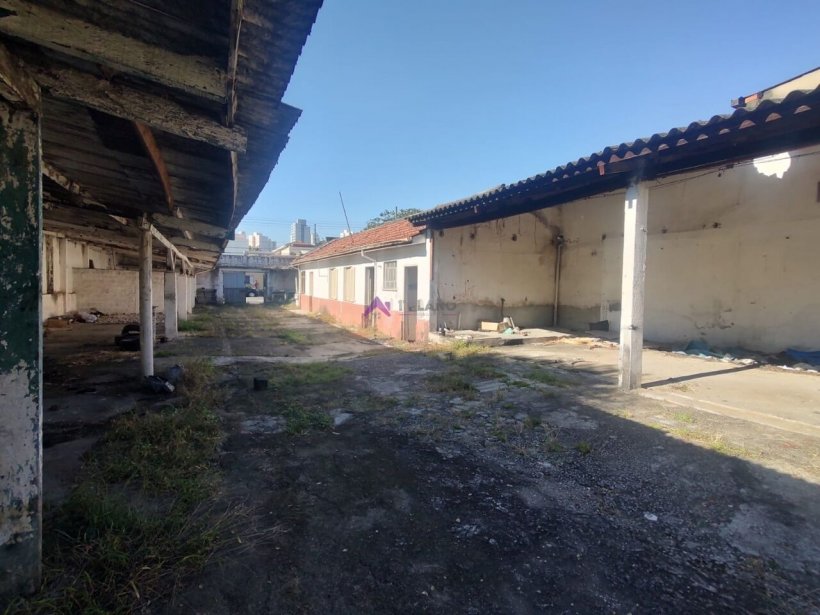 PP1712002.jpg