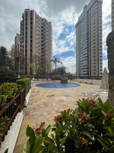 PP1526032.jpg