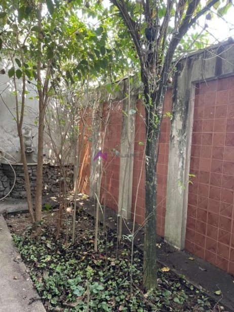 PP1833005.jpg