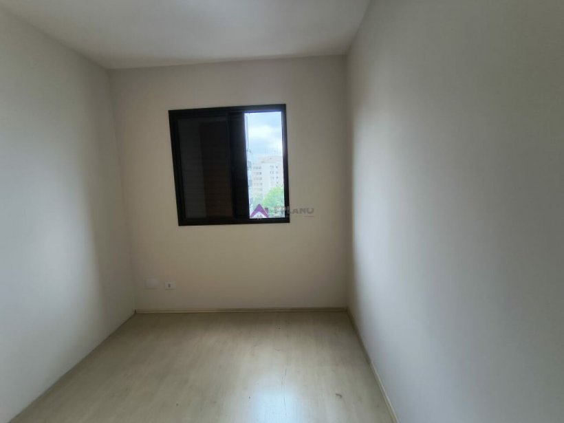 PP236037.jpg