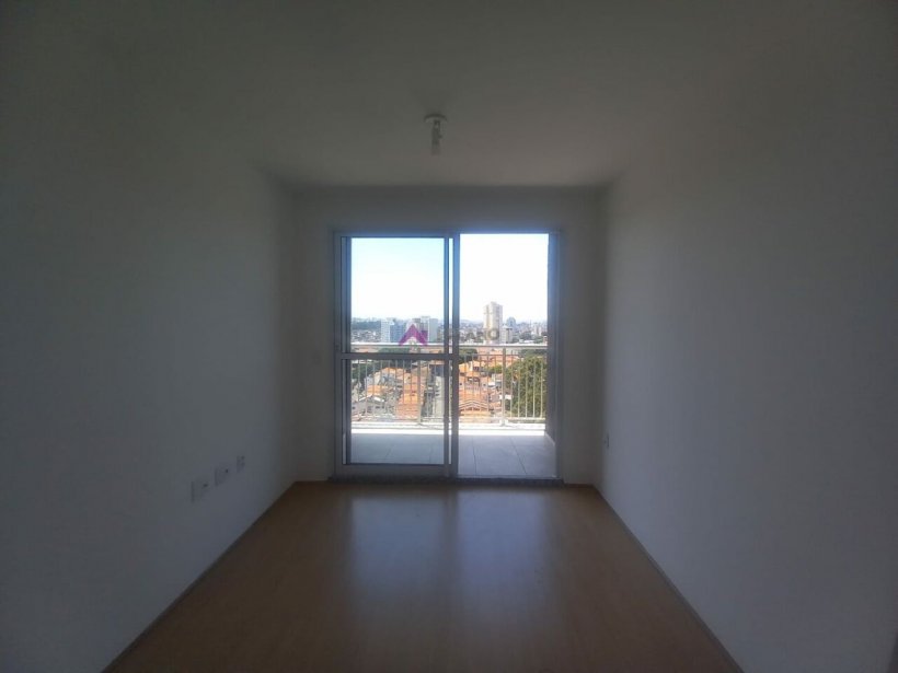 PP1177001.jpg