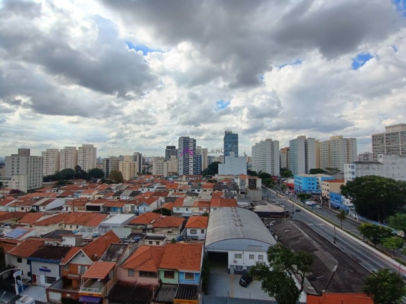 PP1097015.jpg