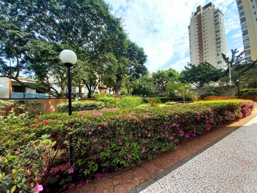 PP724027.jpg