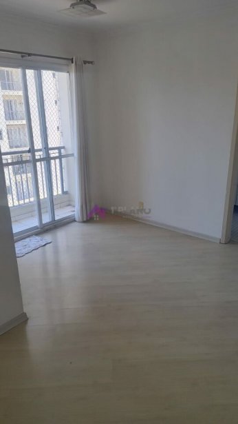 PP1266007.jpg