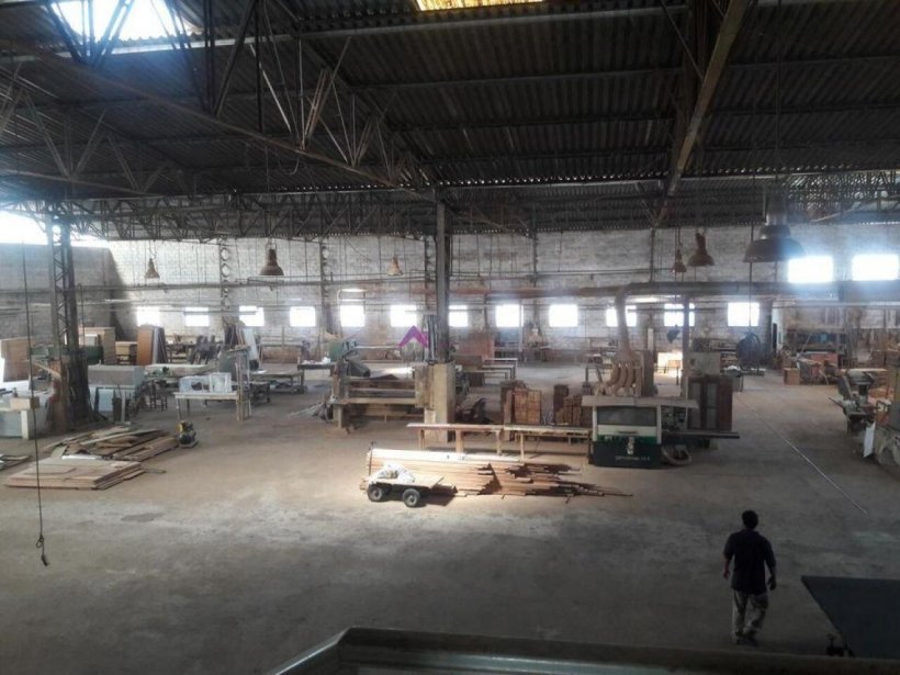 PP1655012.jpg