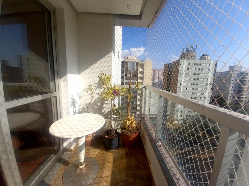 PP454032.jpg