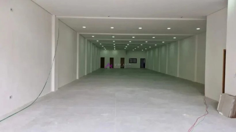 PP1826003.jpg