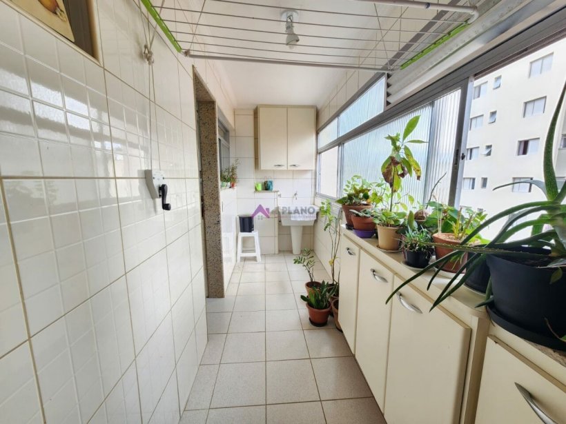 PP1545010.jpg