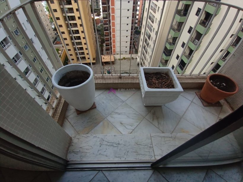 PP1755016.jpg