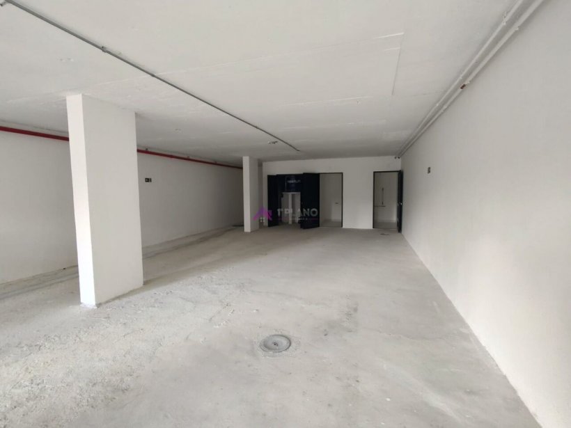 PP1639008.jpg