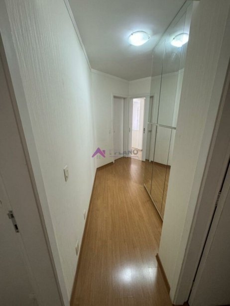 PP1588009.jpg