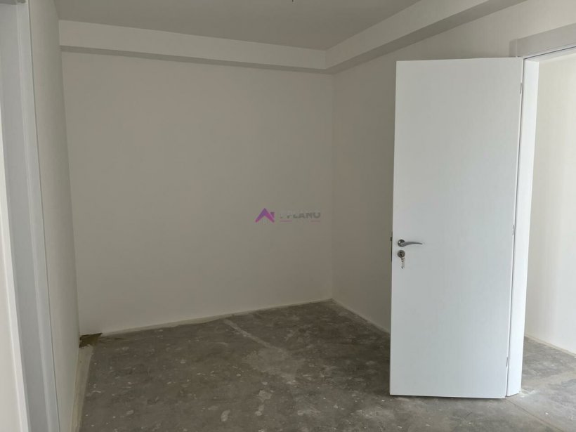PP1574019.jpg