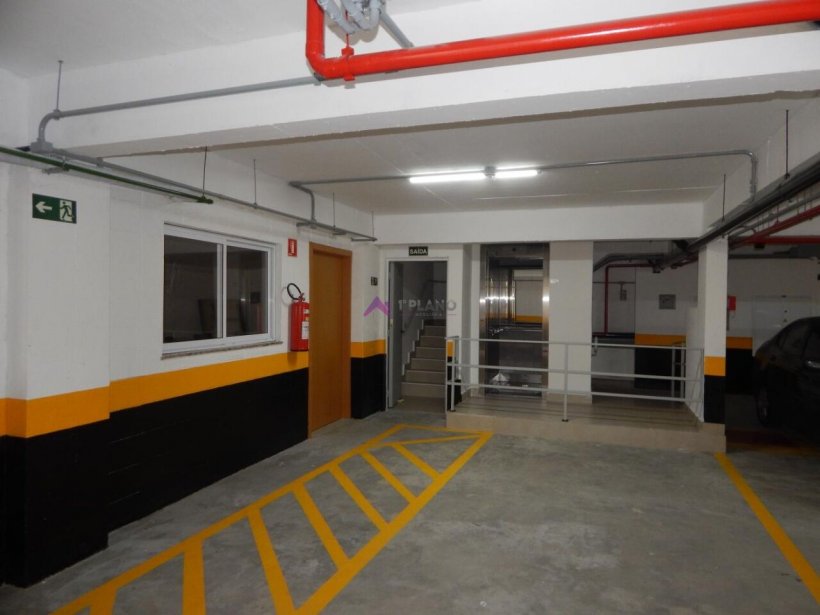 PP1669007.jpg