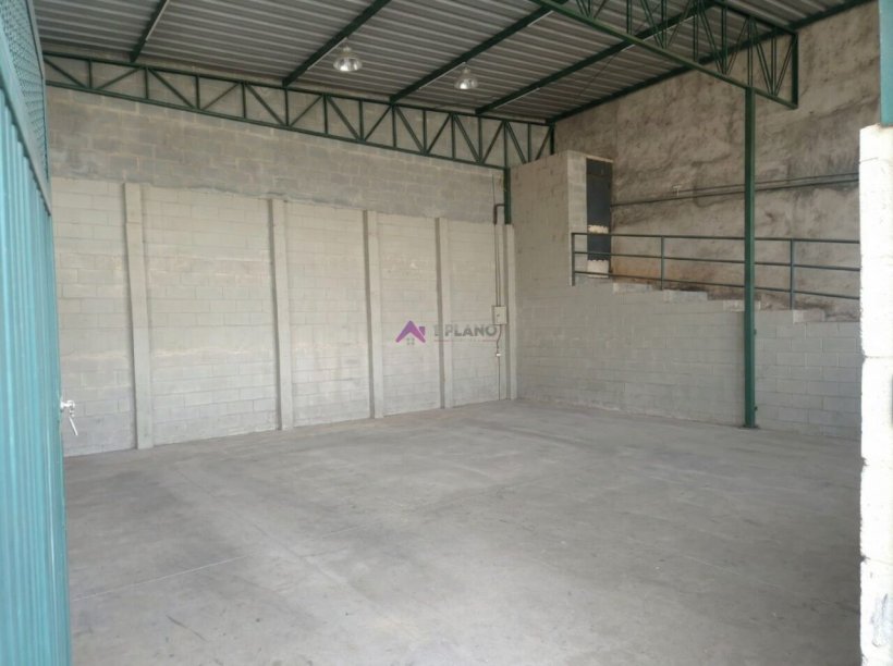 PP1736009.jpg