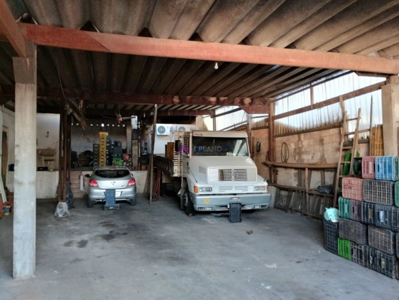 PP1703006.jpg