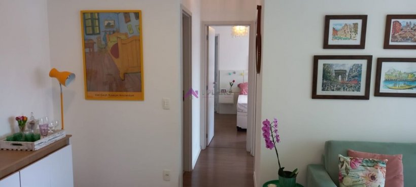 PP1805011.jpg