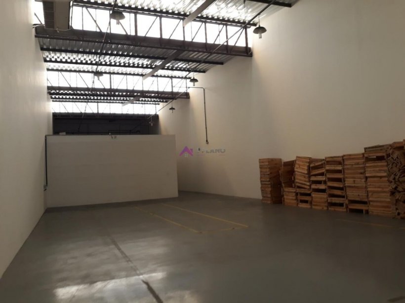 PP1670001.jpg