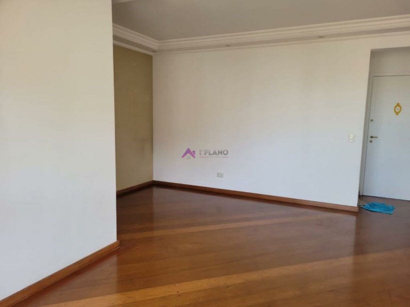 PP463008.jpg