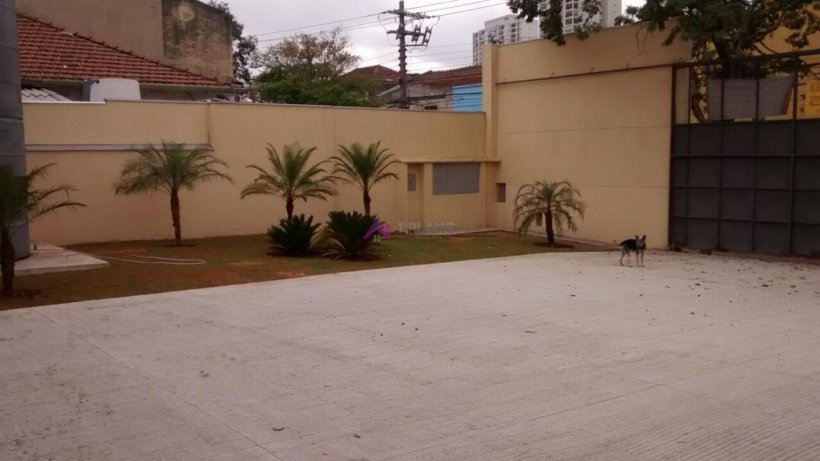 PP1673011.jpg