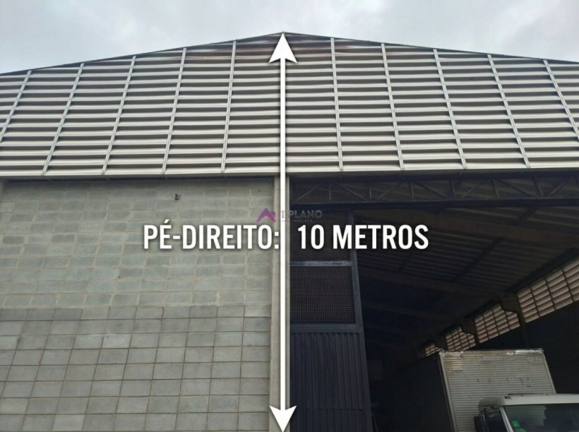 PP1736012.jpg