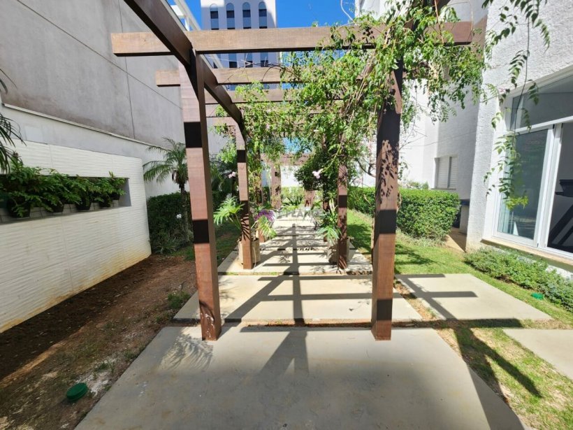 PP806024.jpg