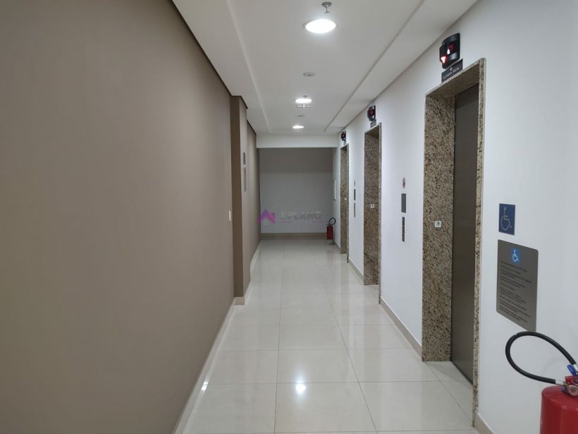 PP781007.jpg