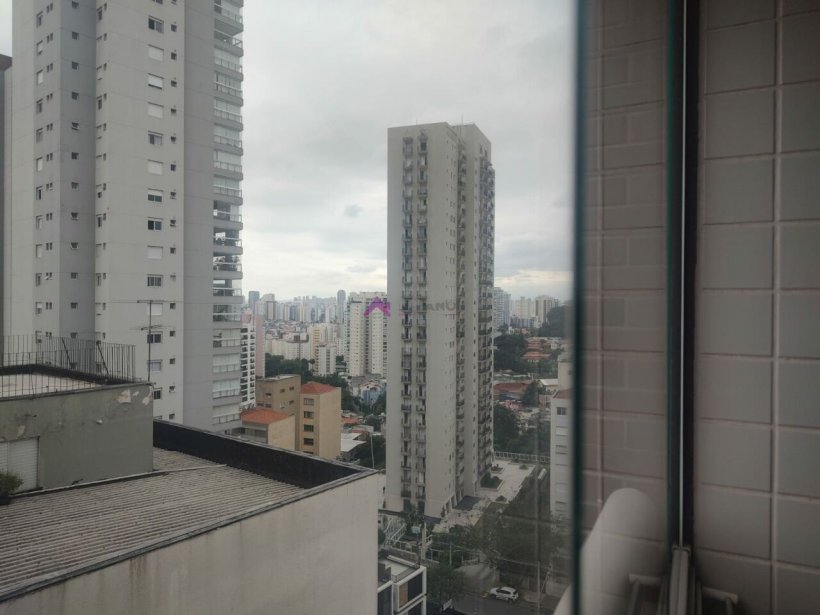 PP1481004.jpg