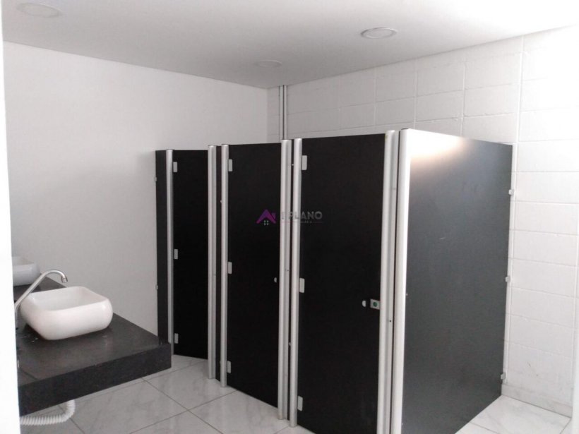 PP1668001.jpg