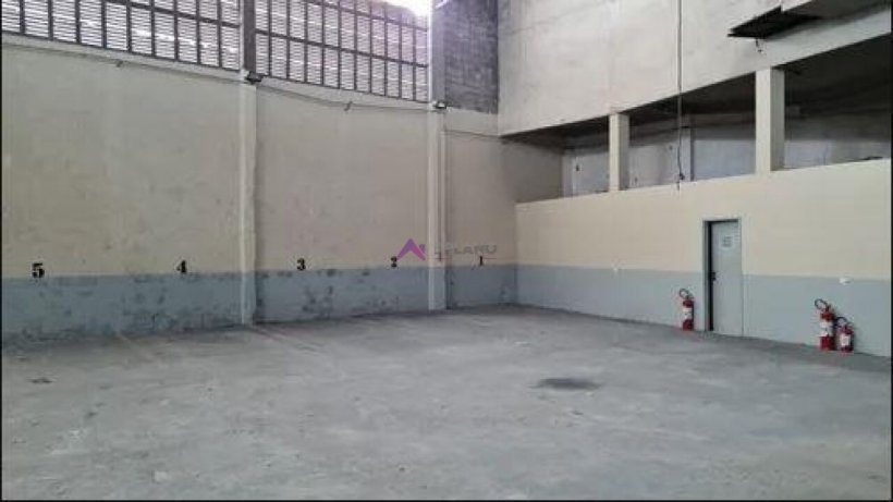 PP1690009.jpg