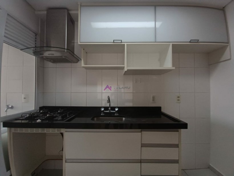 PP1257013.jpg