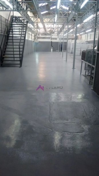 PP1686003.jpg
