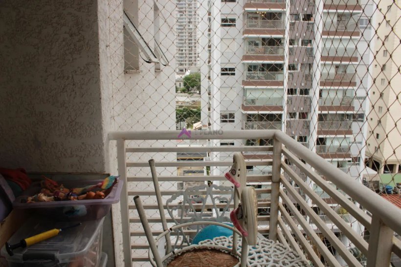PP1708015.jpg
