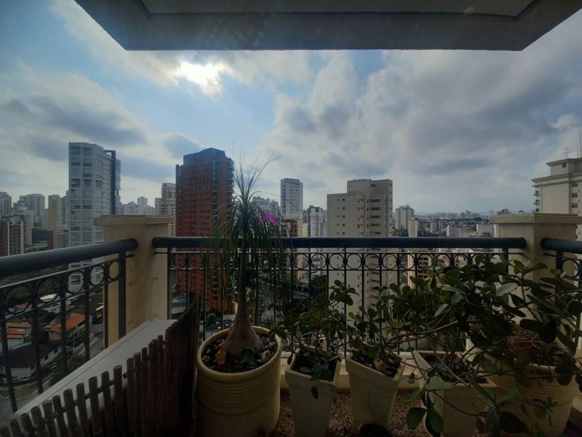 PP553026.jpg