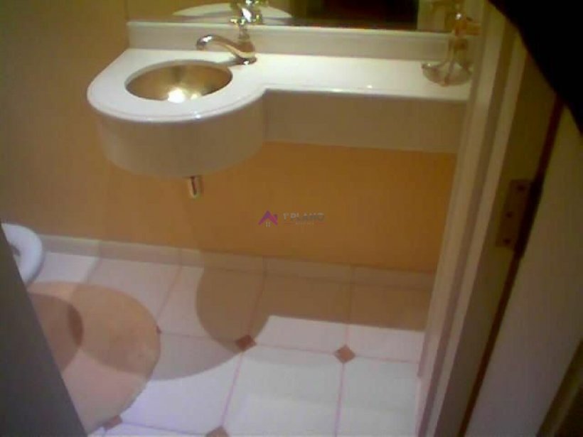 PP669013.jpg