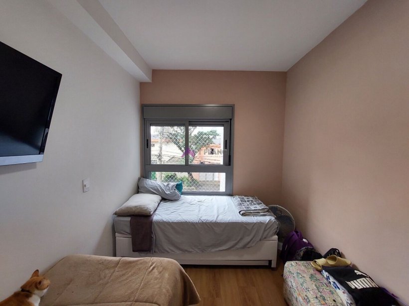 PP1611011.jpg