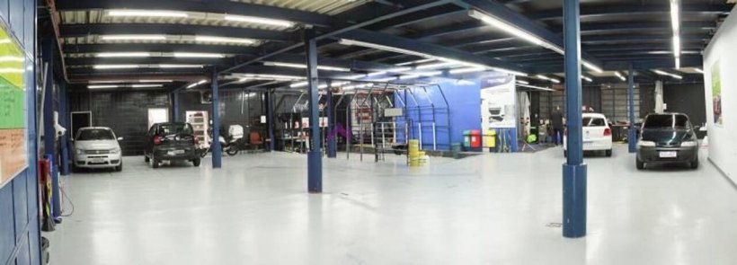 PP1647009.jpg