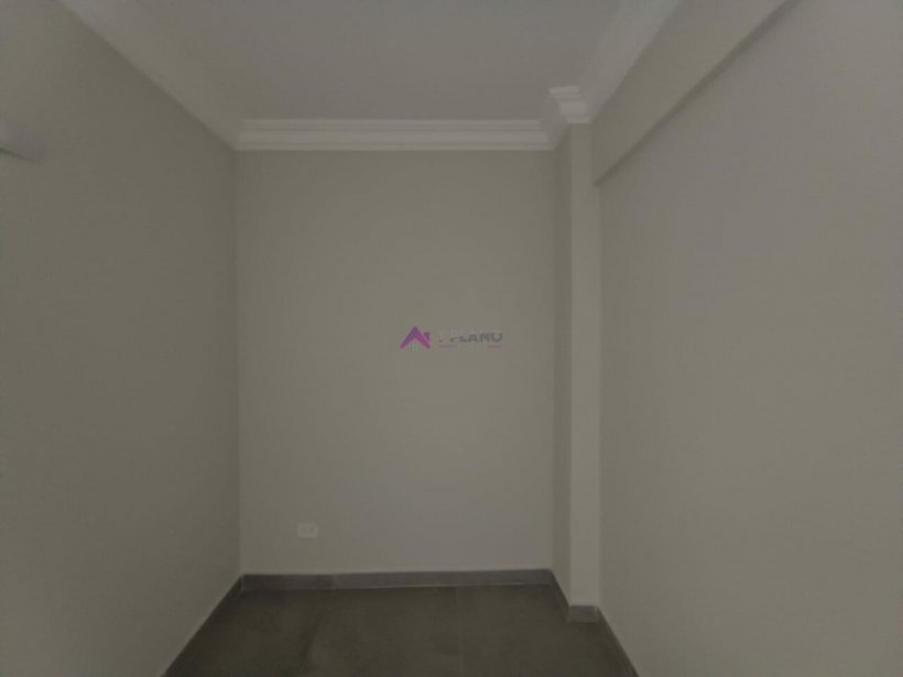 PP1256013.jpg