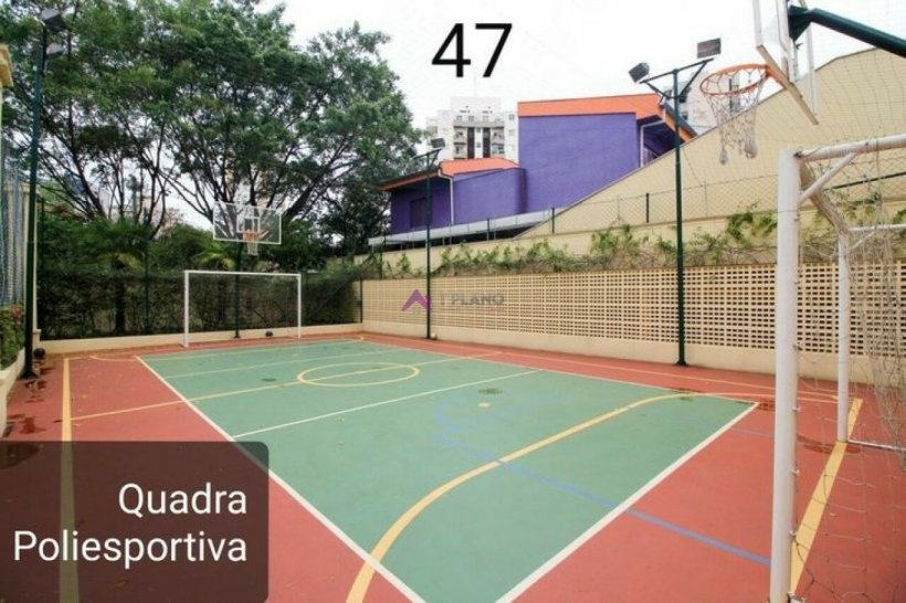 PP248029.jpg