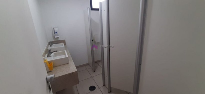 PP1815011.jpg