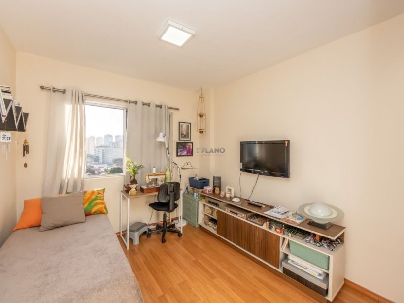 PP1618017.jpg