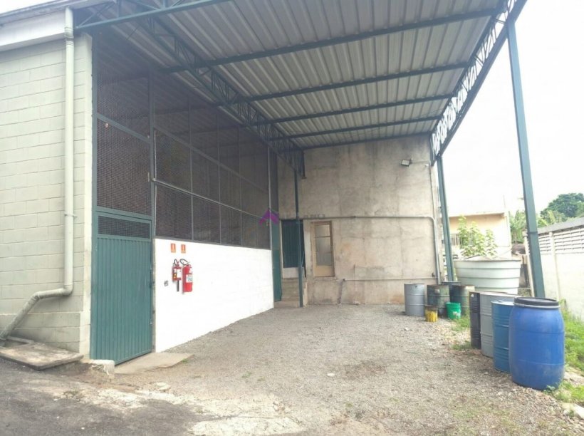 PP1736017.jpg