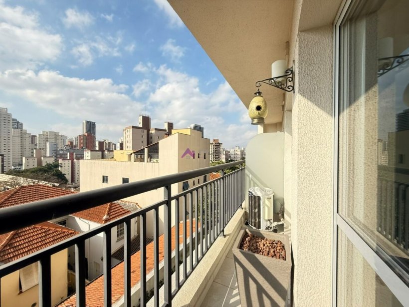 PP1558001.jpg